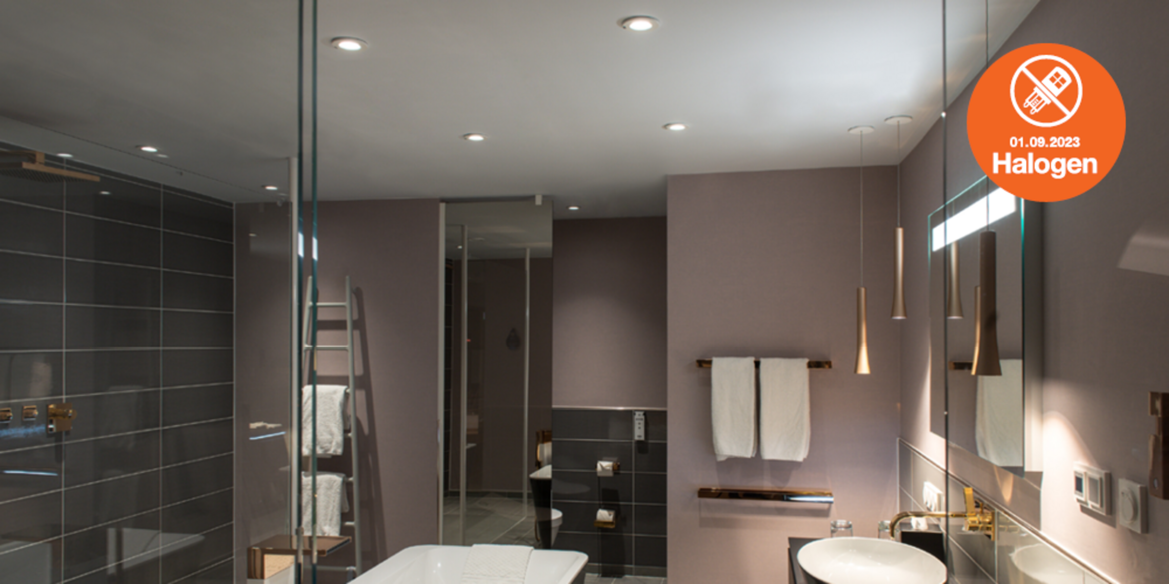 Lösungen zum Halogenlampen Verbot bei Elektro Hess GmbH & Co. KG in Sachsen bei Ansbach